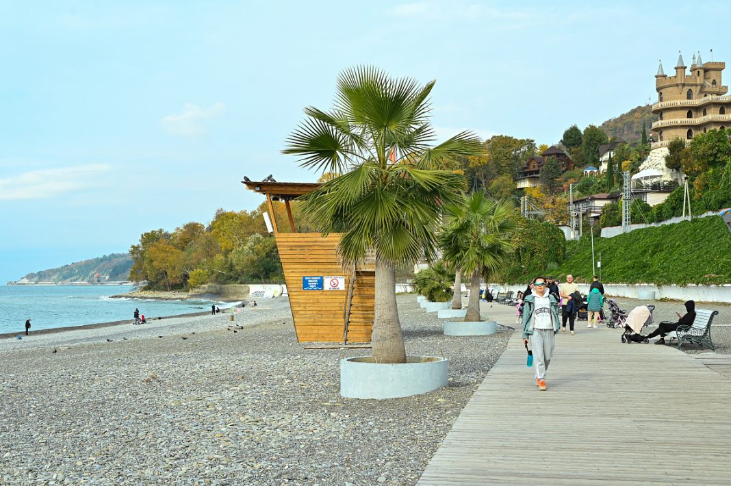 Субтропики в декабре: каким будет начало зимы в Сочи