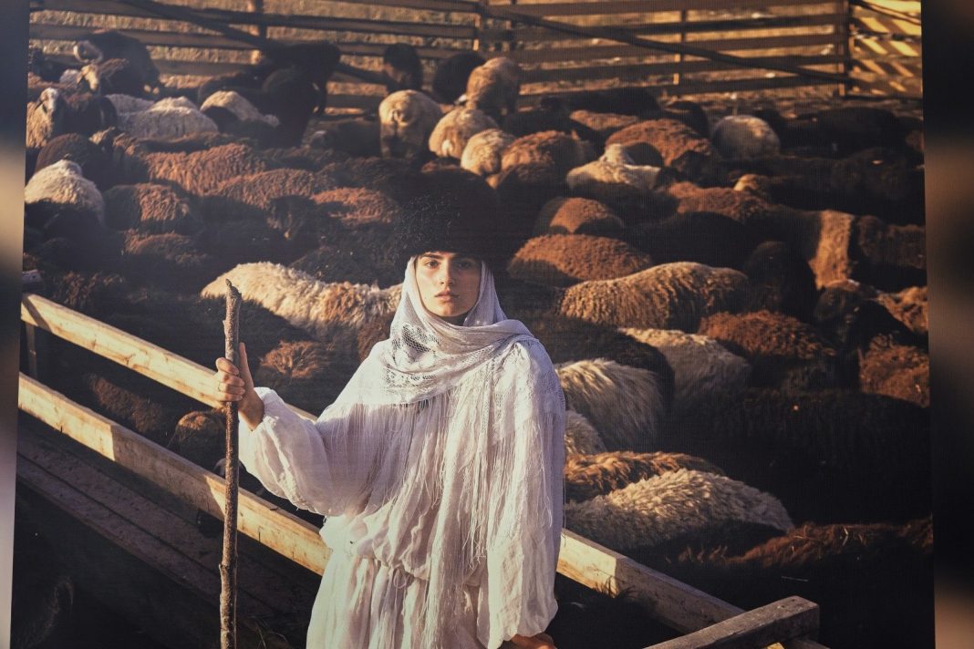 Самая красивая страна: в Сочи открылась выставка Русского географического общества