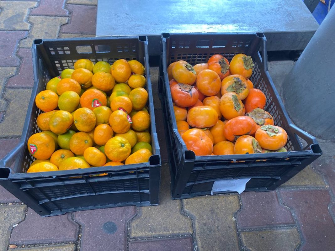 Почти тысячу тонн мандаринов ввозят в Россию из Абхазии каждый день