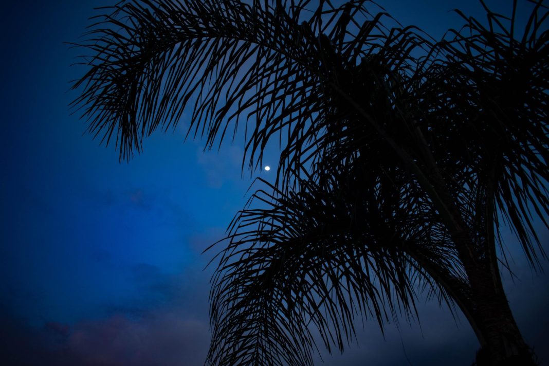 Абхазию поглотила тьма: вся территория республики осталась без электричества