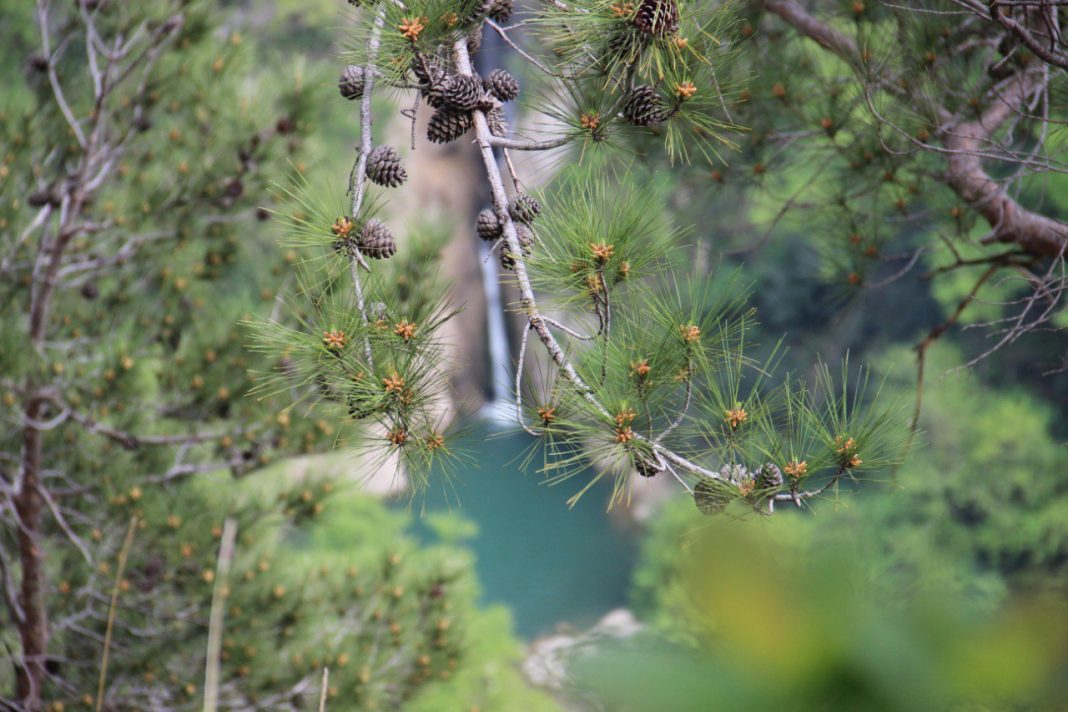 Туристка из Челябинска отправилась на прогулку к Агурским водопадам и исчезла