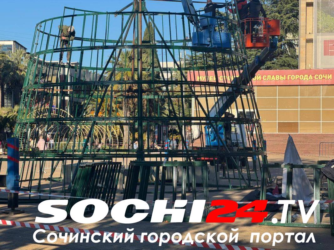 На площади Флага в Сочи началась установка новогодней елки