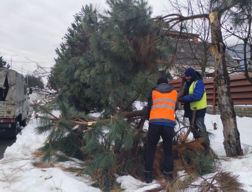 Упавшие деревья и снег: коммунальщики Красной Поляны в усиленном режиме