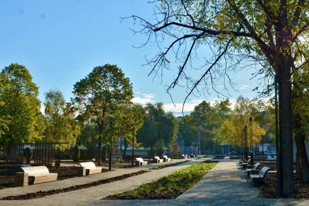 Краснодарский край ждёт потепление на новогодних праздниках