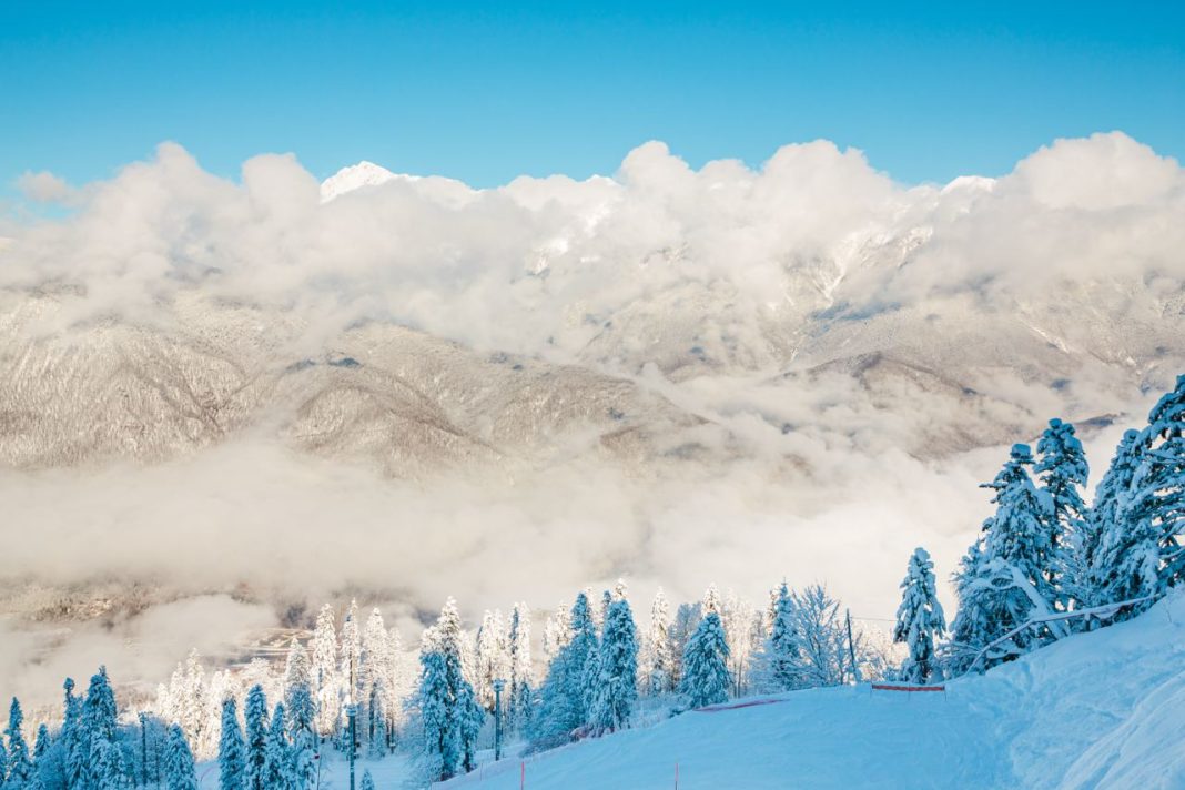 Приезжий обокрал пожилую лыжницу и сбежал: преступление произошло в Красной Поляне