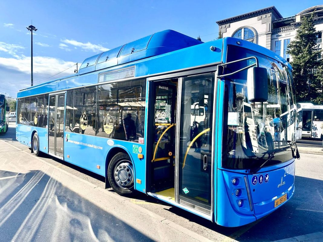 Какие автобусы будут работать в Сочи до трех ночи в Рождество