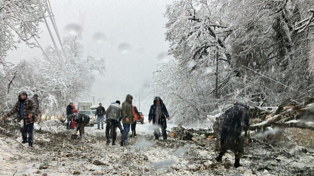 Дорожники убирают упавшее дерево на дороге в предгорной местности Сочи