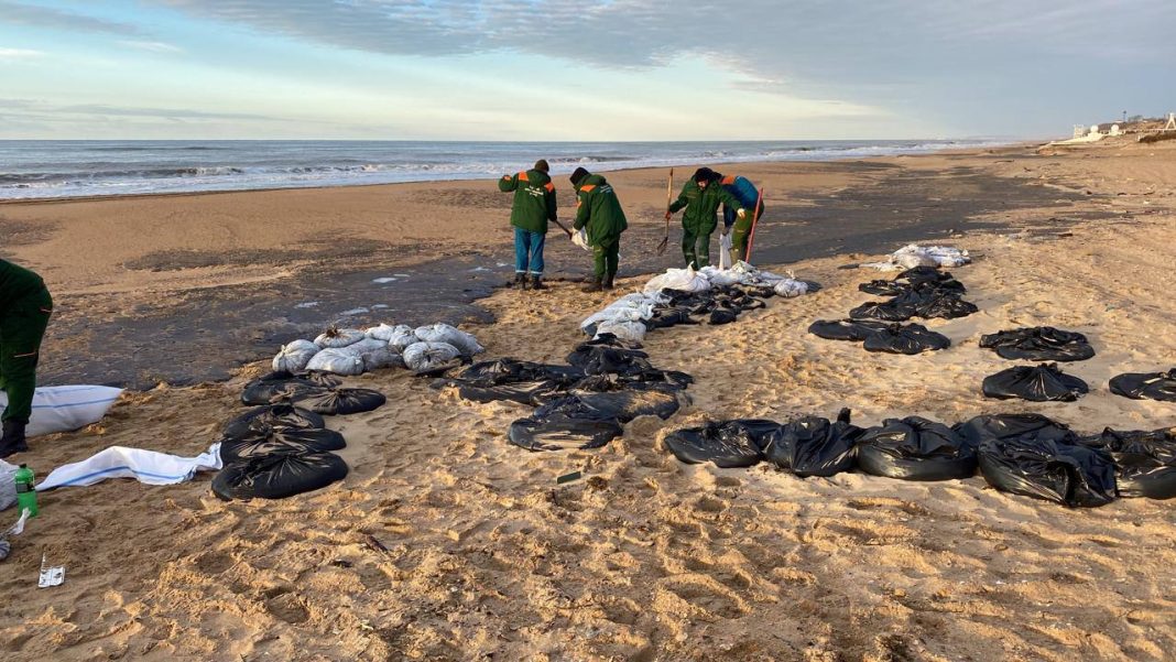 Экологическое ЧП на Черном море: бронирования на Новый год снизились на 10%