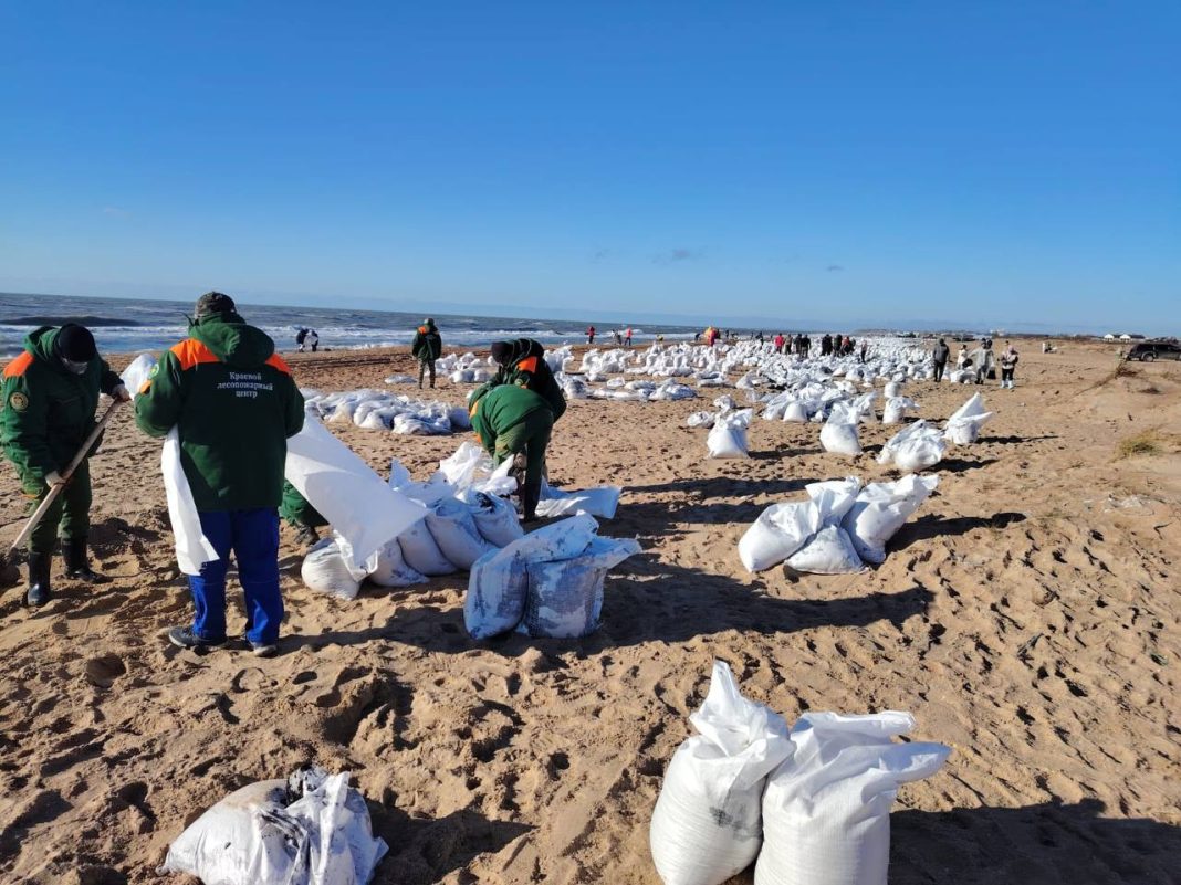 В Сочи обсуждают создание штаба для спасения черноморской фауны