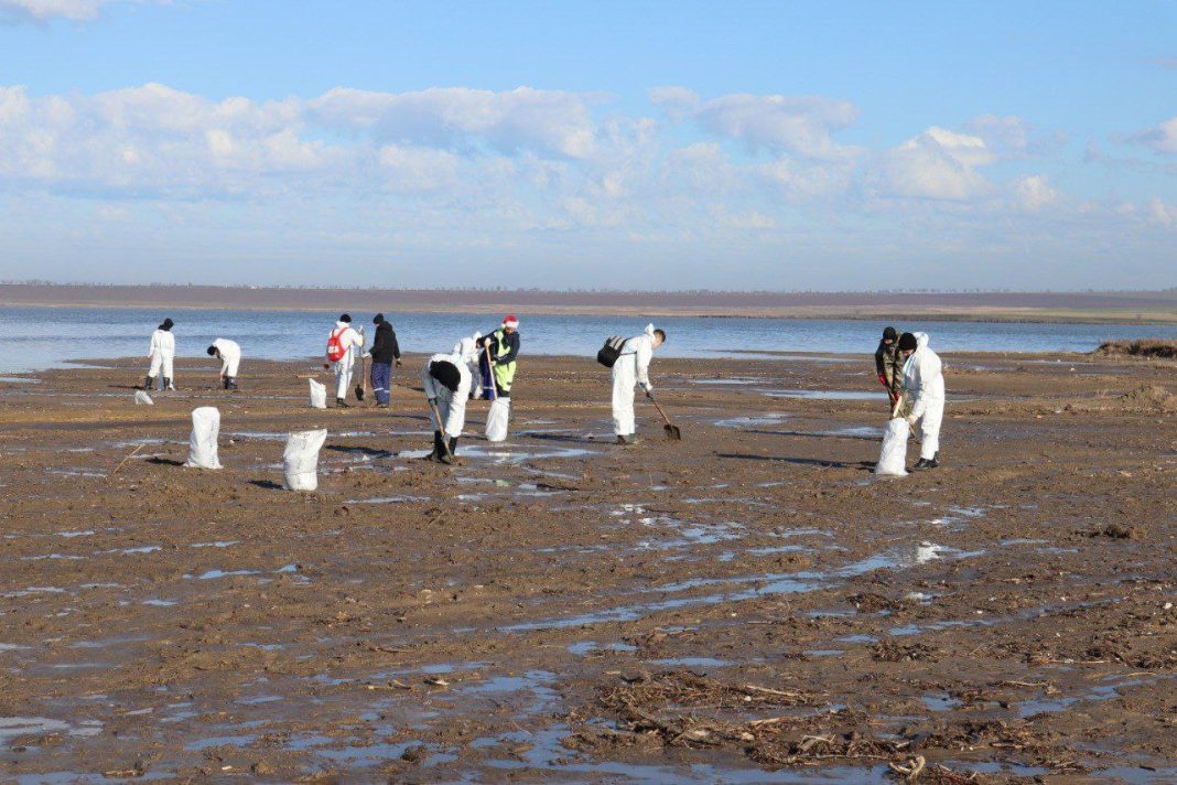 Глава МЧС РФ оценил возможность срыва летнего пляжного сезона в Краснодарском крае