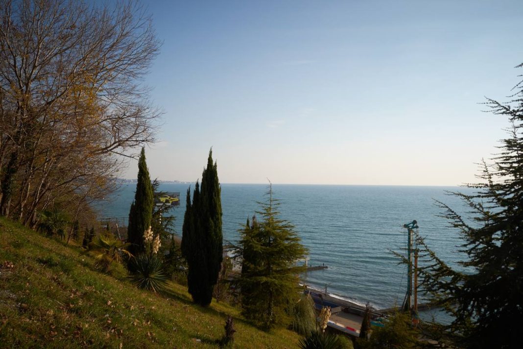 Погода в Сочи 11 декабря: неоднозначный прогноз от местных синоптиков