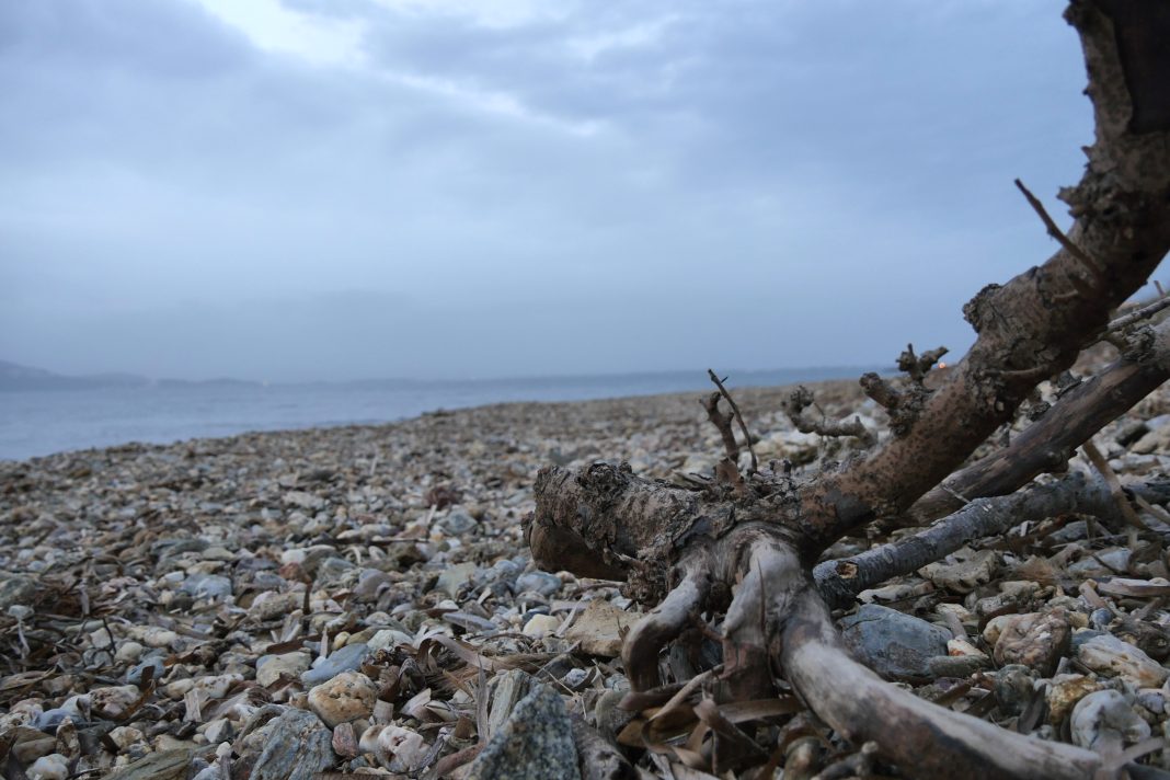 Эти участки Сочи удалось восстановить после стихийных бедствий: актуальный перечень