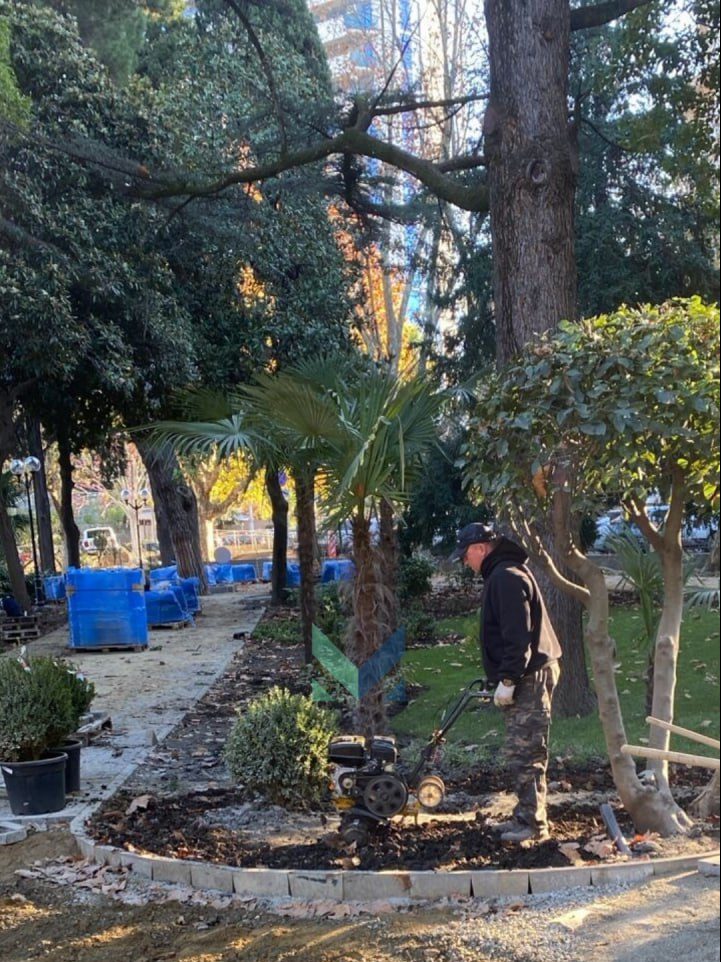 Скверы «Пролетарский» и «Октябрьский» в Сочи преобразятся к Новому году