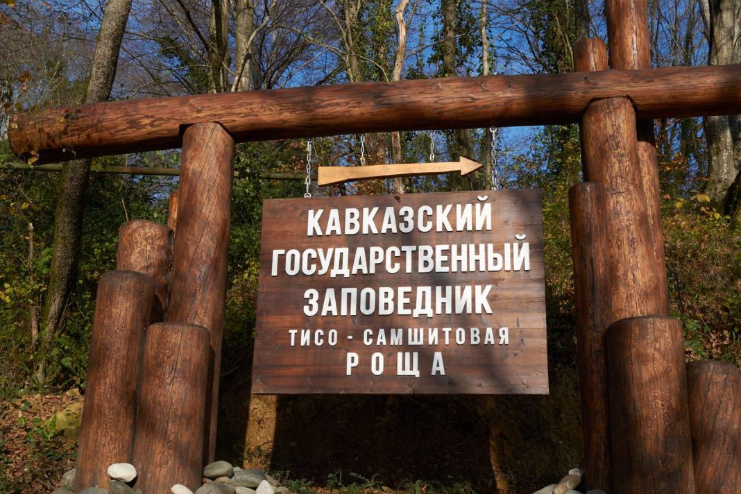 1 млрд рублей выплатит застройщик, который нанес ущерб экологии Сочи