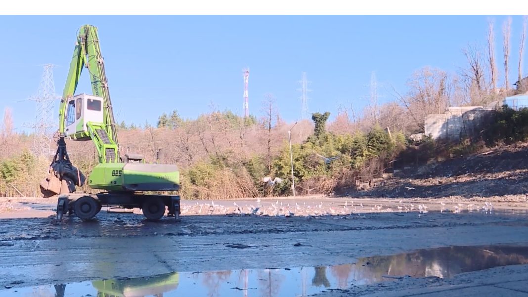 На шаг ближе к экологичности: объем отходов в Сочи сократился в 16 раз благодаря круглосуточной сортировке