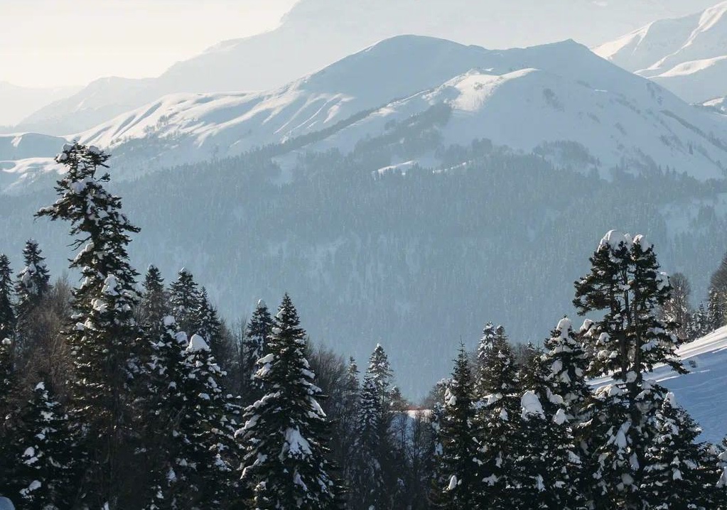 Спасатели Сочи 20 раз приходили на помощь местным жителям и туристам