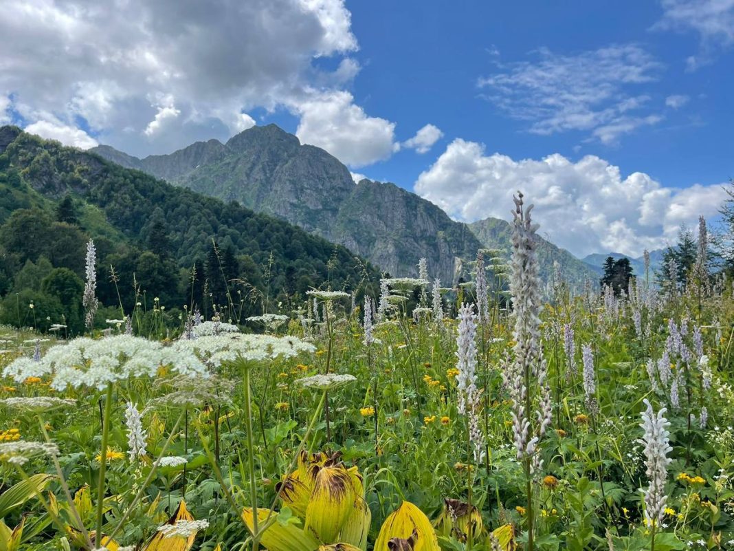 Сочинский нацпарк отрицает организацию «теневых» экскурсий