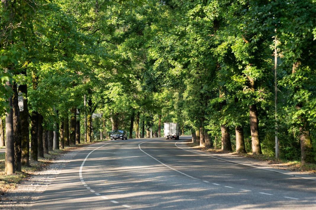Новую схему дорожного движения вводят в микрорайоне Мацеста