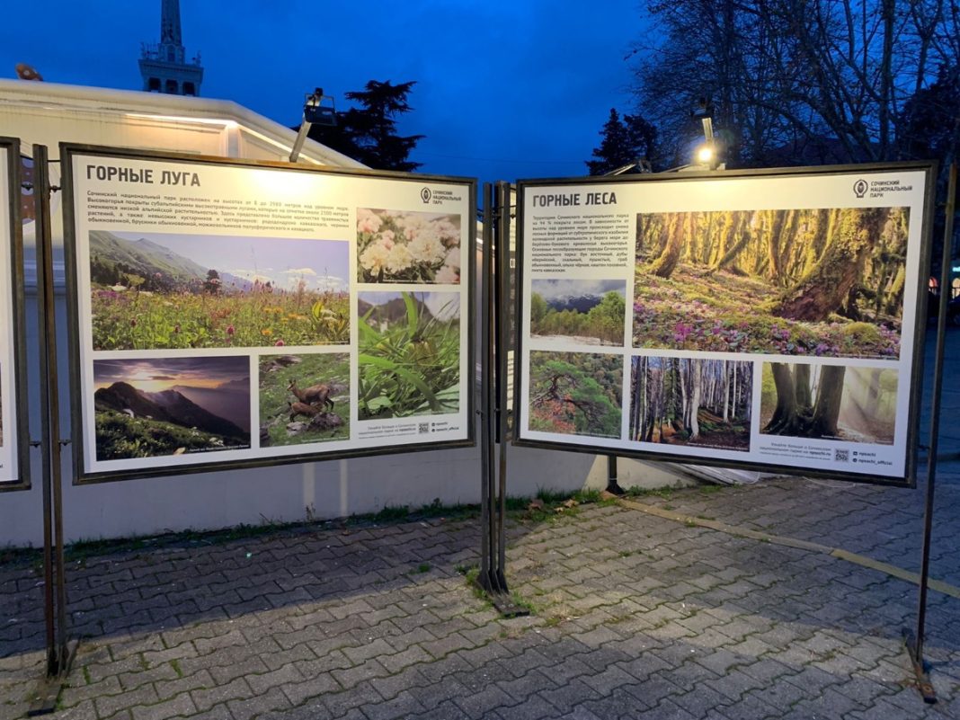 Фотовыставка, посвященная Сочинскому нацпарку, открылась в морпорту курорта