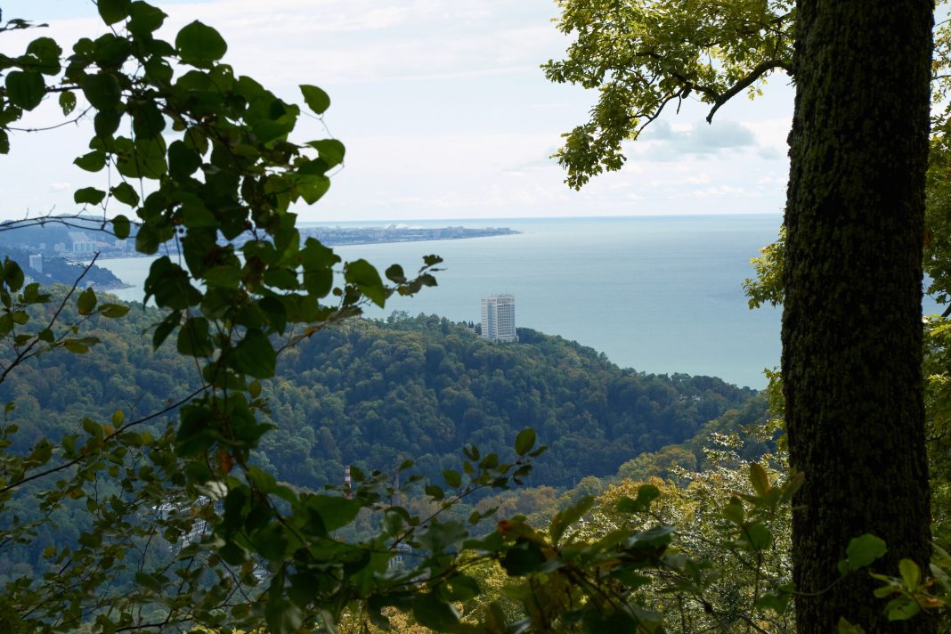 Сочинский терренкур станет особо охраняемой природной территорией