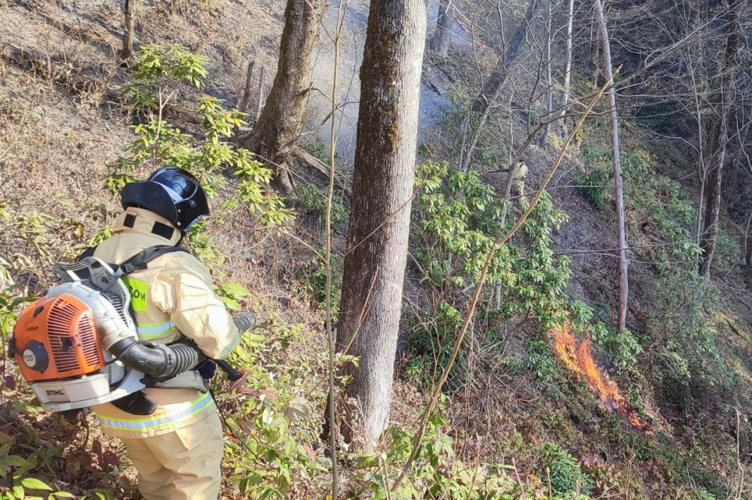 Лесной пожар в Сочи полностью потушен