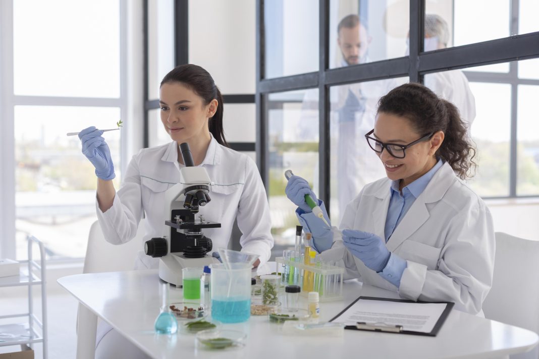 В Сириусе займутся разработкой терапевтических антимикробных препаратов