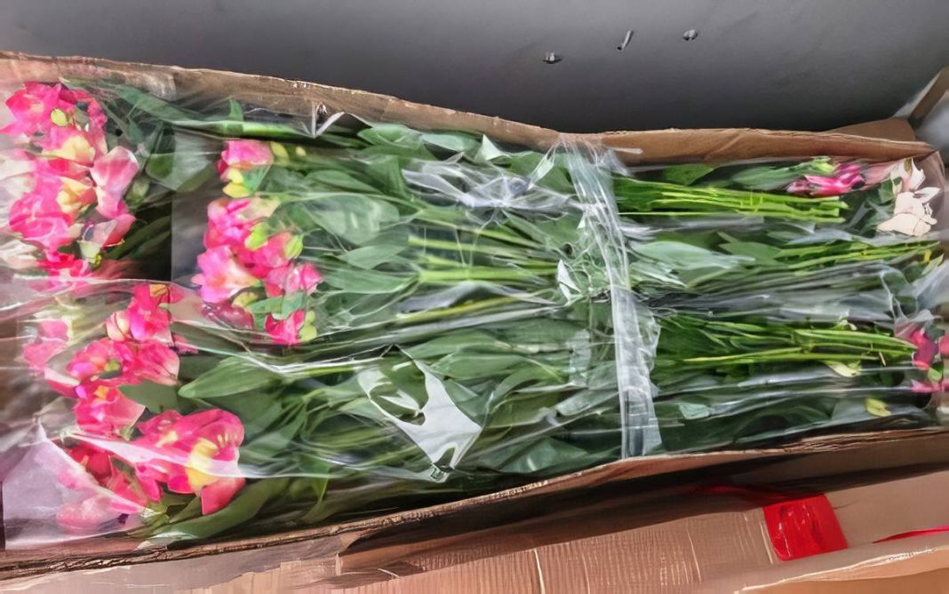 545 тысяч цветов из Армении и Турции ввезли в Краснодарский край