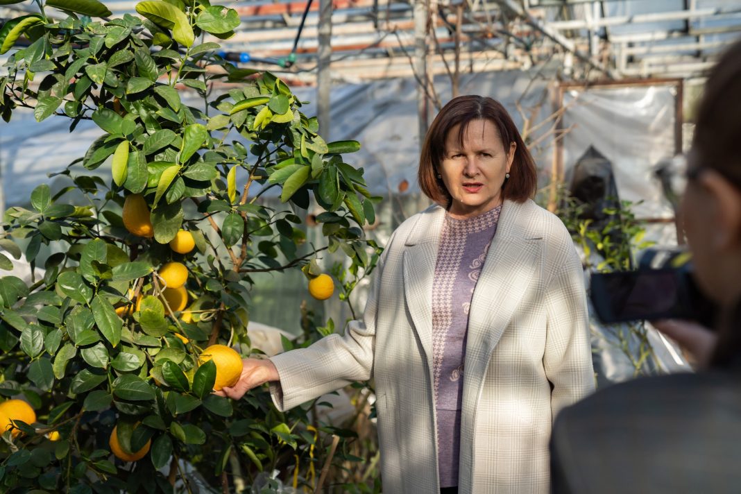 Бананы в Сочи? Эксперты рассказали о перспективах выращивания