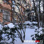 сочи зима, сочи снег