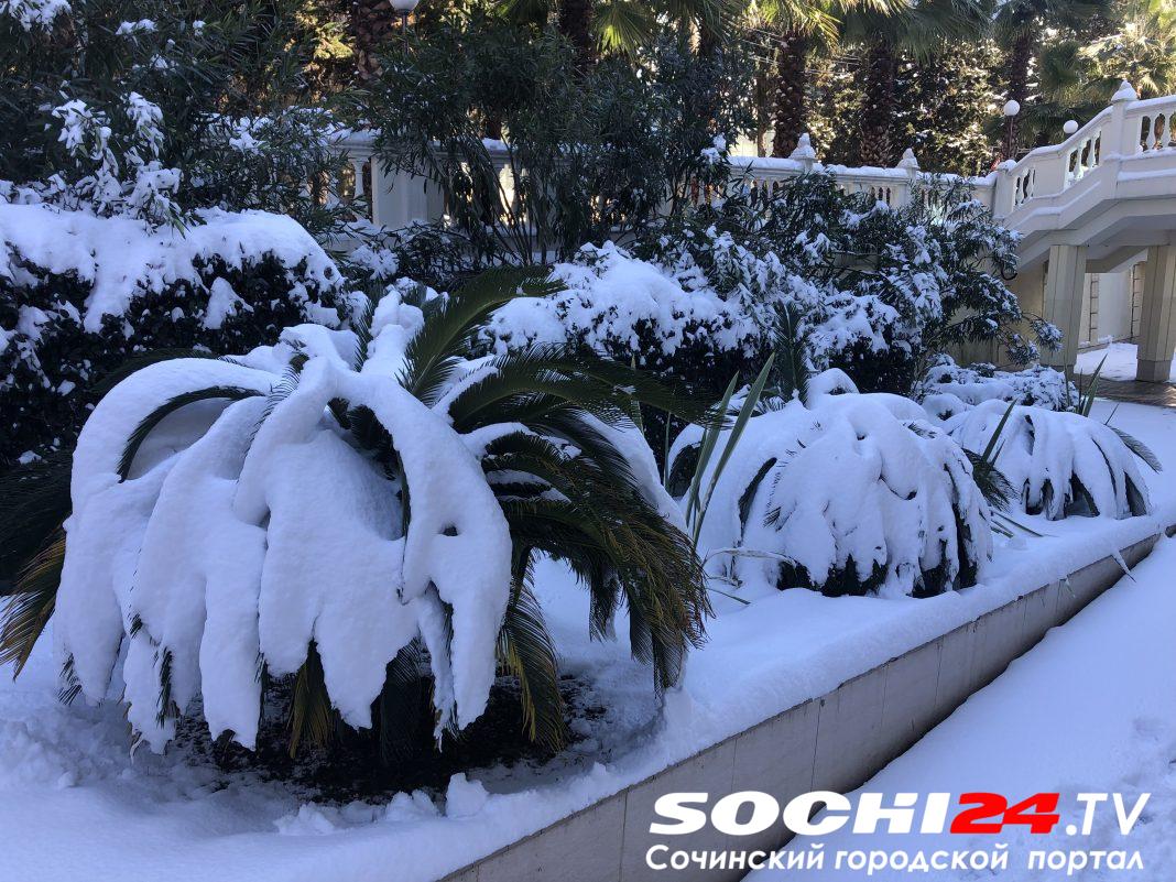 В Сочи усилили уборку улиц, на которых проведут мероприятия к 23 февраля