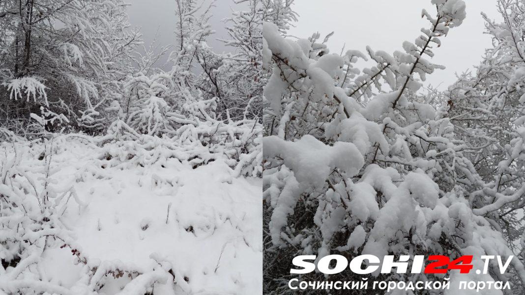 Снежная сказка в Сочи: даже предгорья укутало белым покрывалом — видео