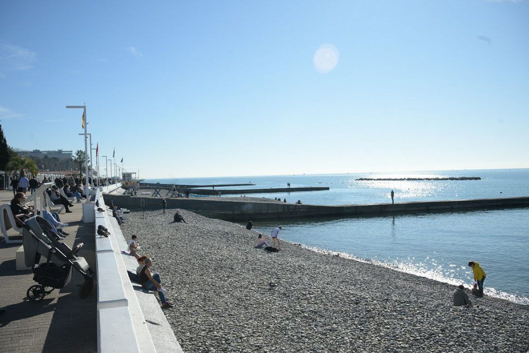 Результаты мониторинга акватории Сочи: гибель морских животных не зафиксирована