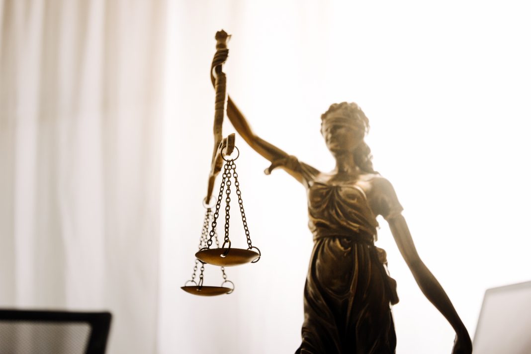 Контрольный пакет акций агрокомбината «Тепличный» перешел в госсобственность: частью владел член сочинской ОПГ