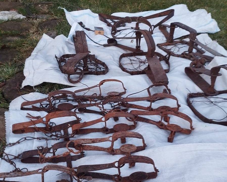 Браконьеров выявили в Сочи: в нацпарке нашли 20 капканов