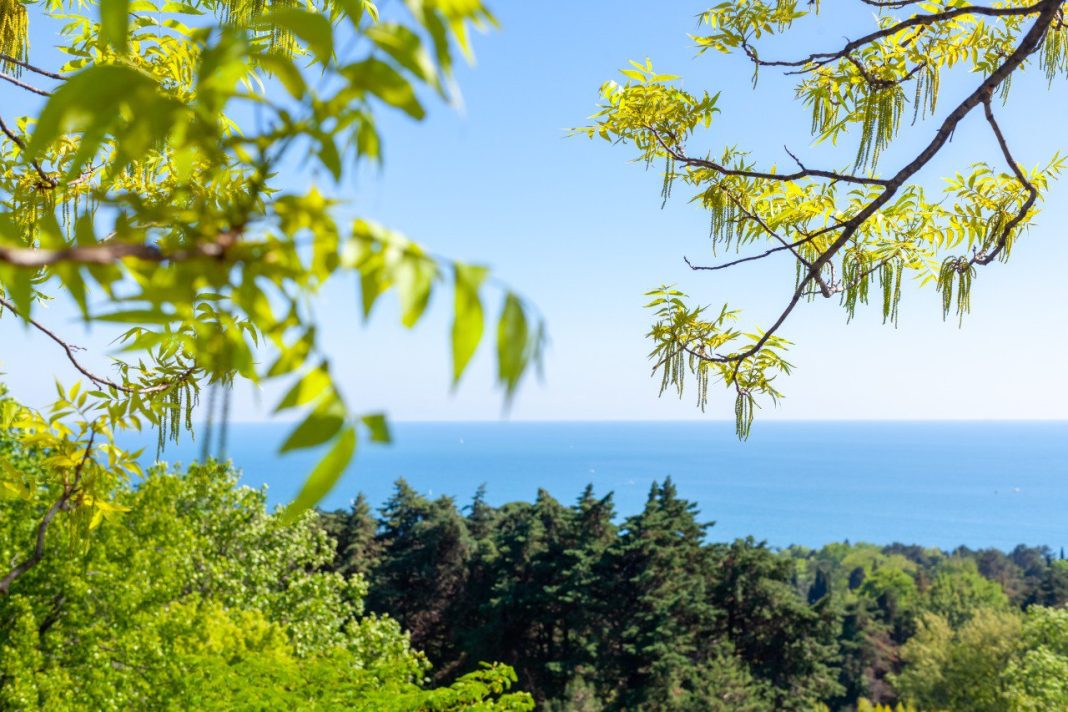 Адлер стал самым востребованным курортом летнего сезона 2025 года