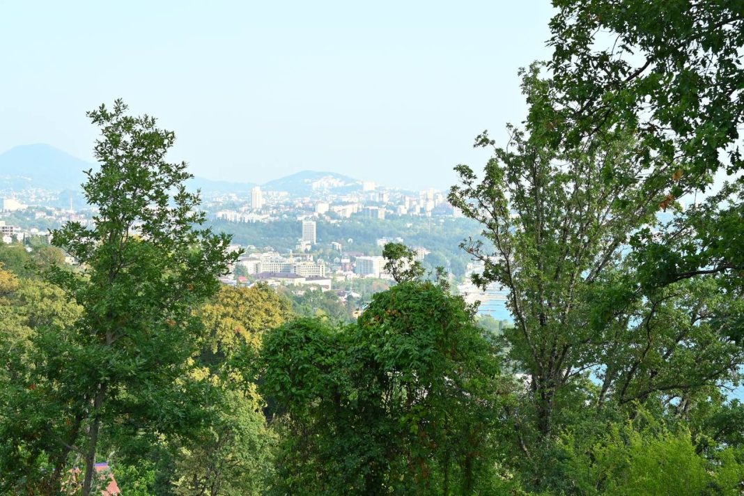 Житель Сочи обвиняется в присвоении государственной земли в Дагомысе