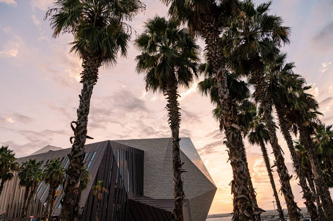 Оцифрованная экосистема: в Сириусе создали карту зеленых насаждений