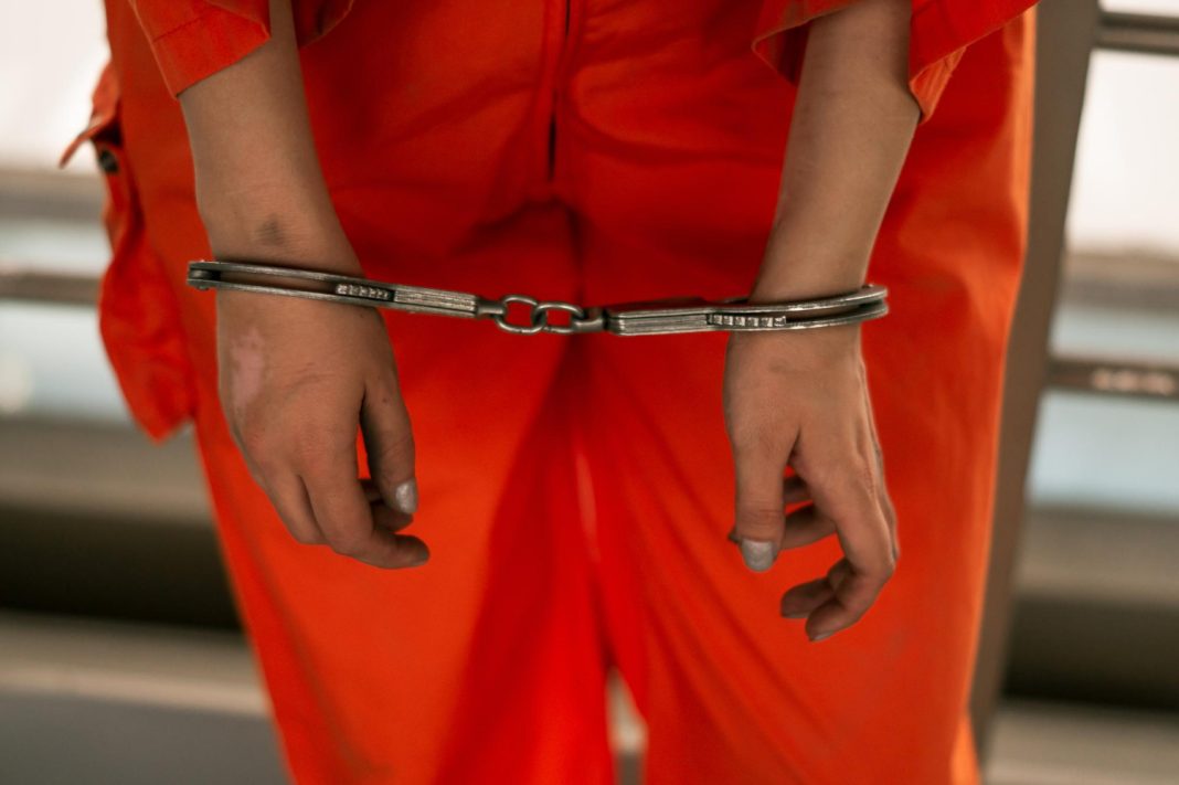 Обналичили маткапитал: мошенницы из Сочи и Абхазии обманули Пенсионный фонд на 900 тысяч