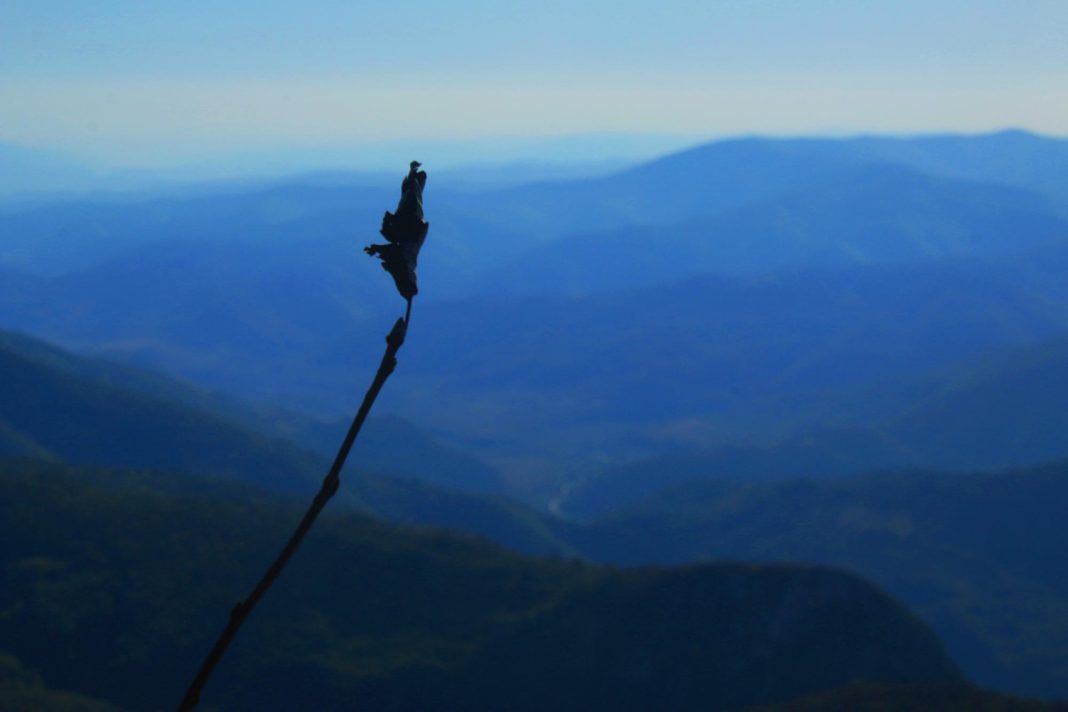Весна приготовила для Абхазии дожди и экстремальные температуры