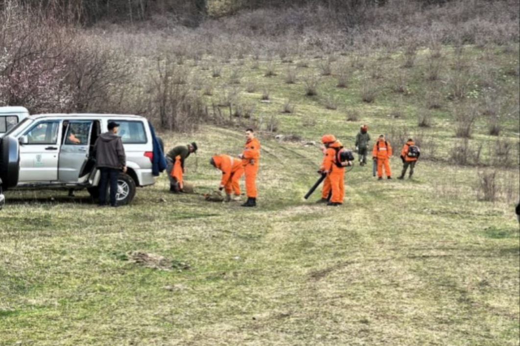 Оперштаб ликвидирует последствия пожара, вспыхнувшего в Сочинском нацпарке