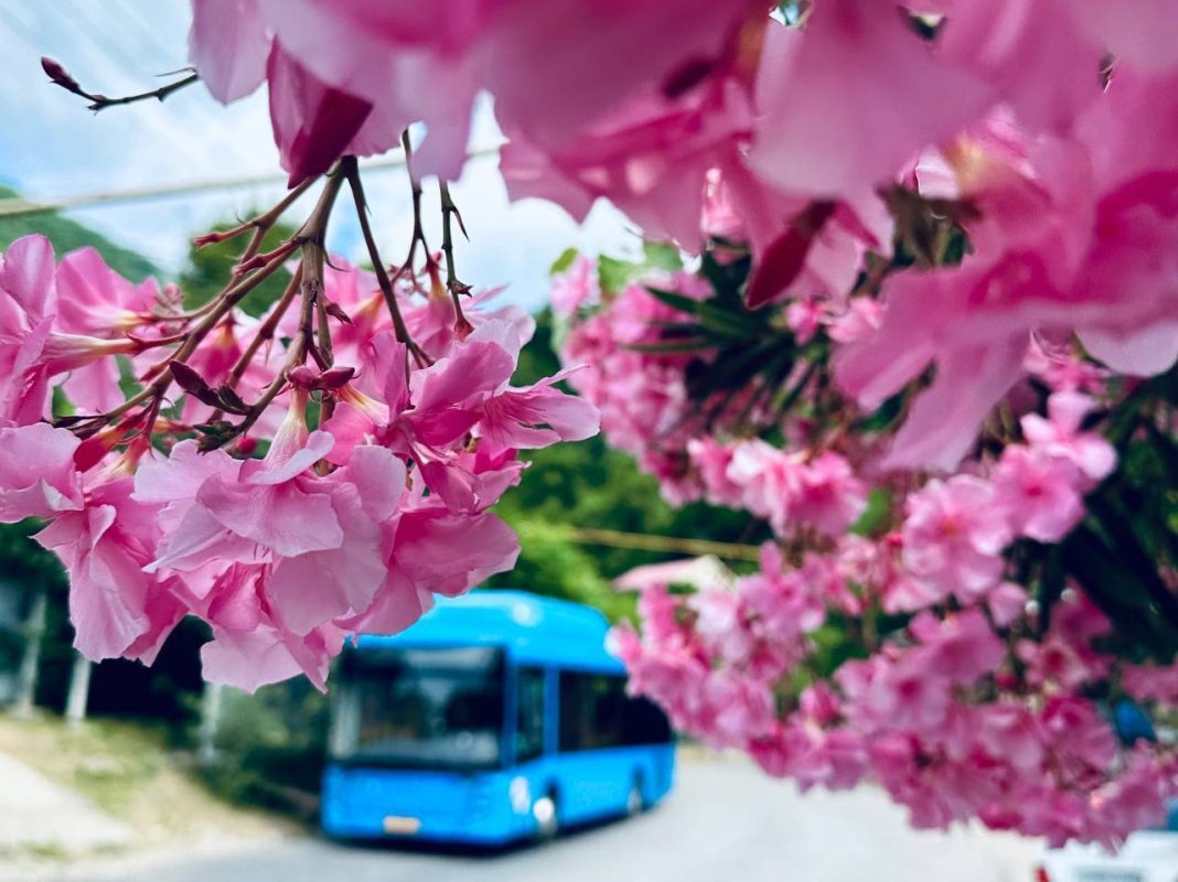 Два сочинских автобуса начнут ходить иначе уже в этом марте