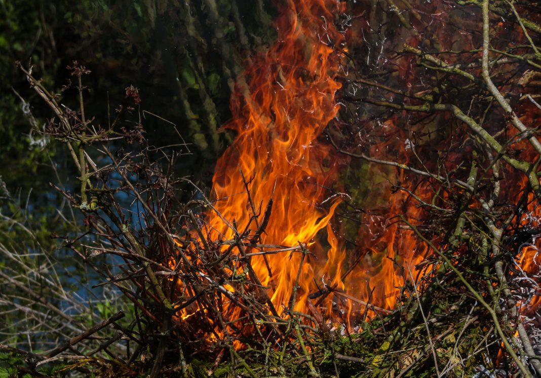 Пожар в поселке Богушевка: детали к этой минуте