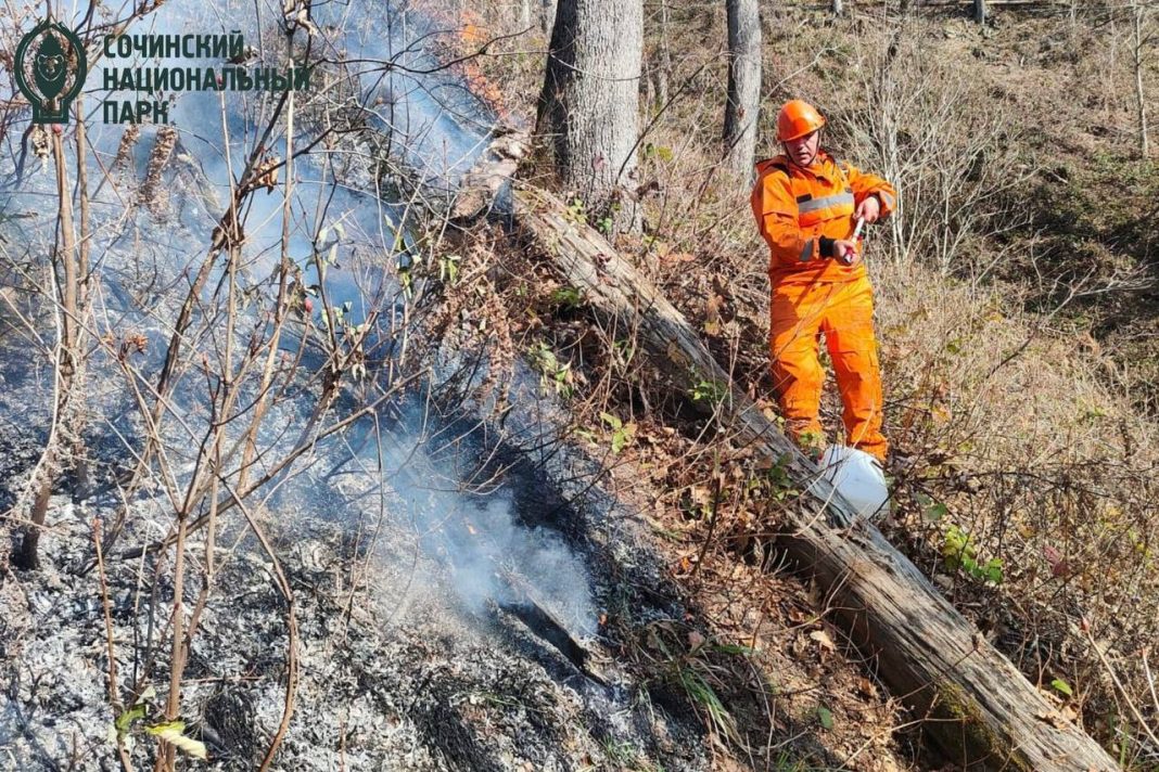 Пожар на склоне горы Кума в Сочи полностью ликвидирован