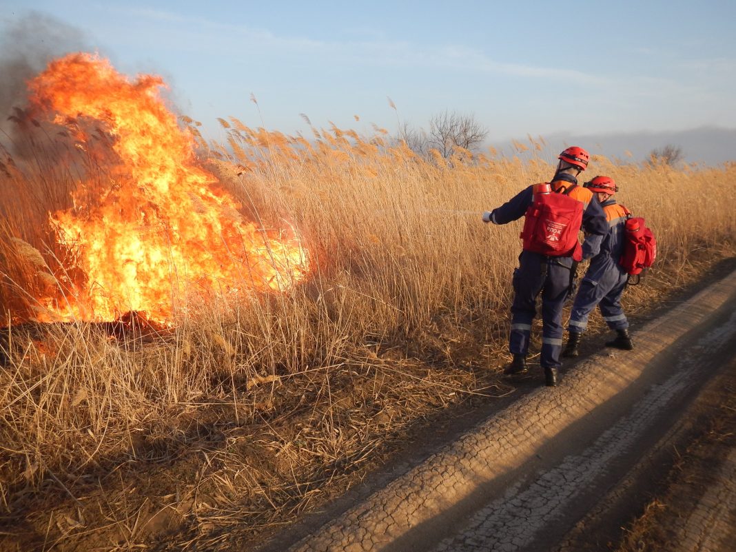 В Сочи введён особый противопожарный режим: что это значит