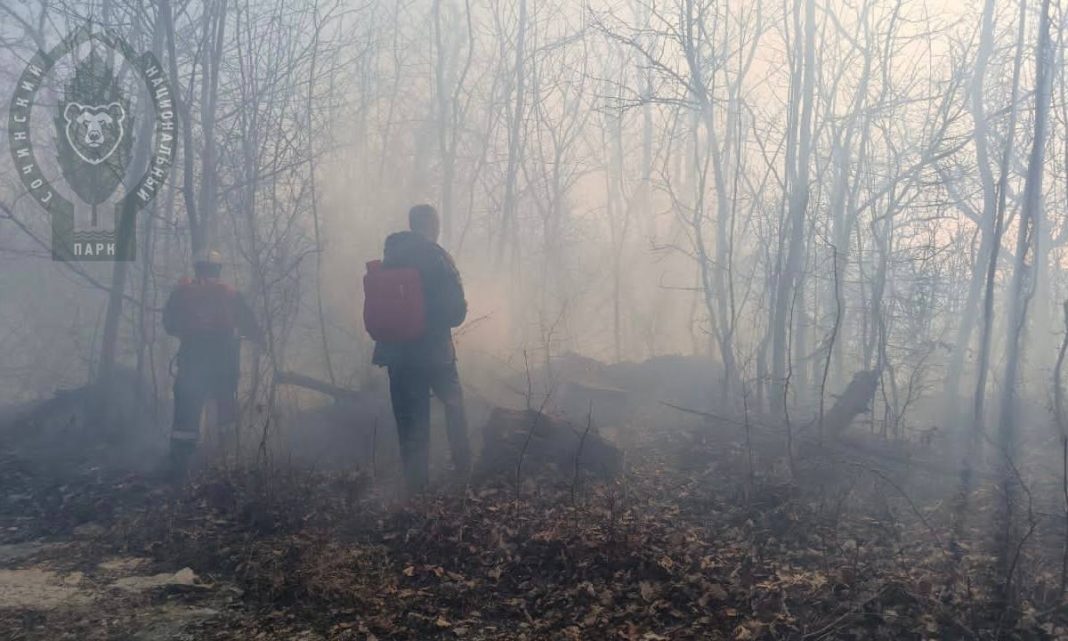 В Сочинском нацпарке ликвидирован крупный лесной пожар