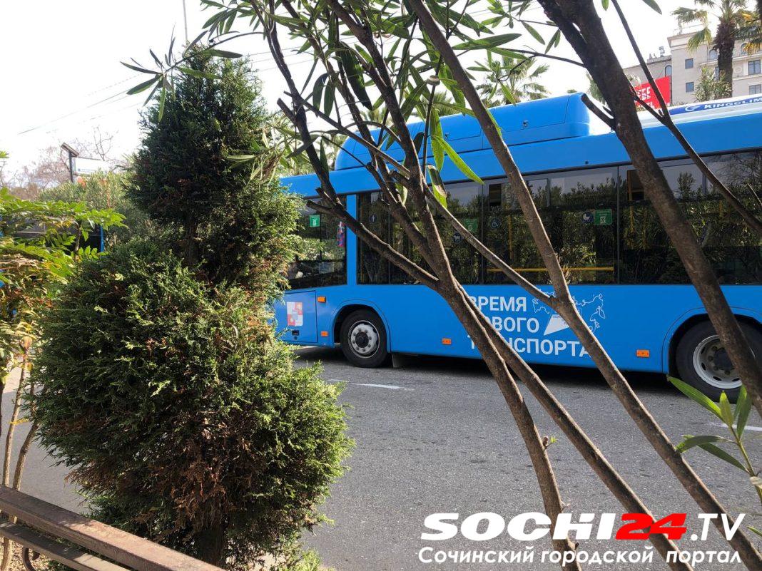 Больше 500 «безбилетников» привлекли к ответственности в Сочи с начала года