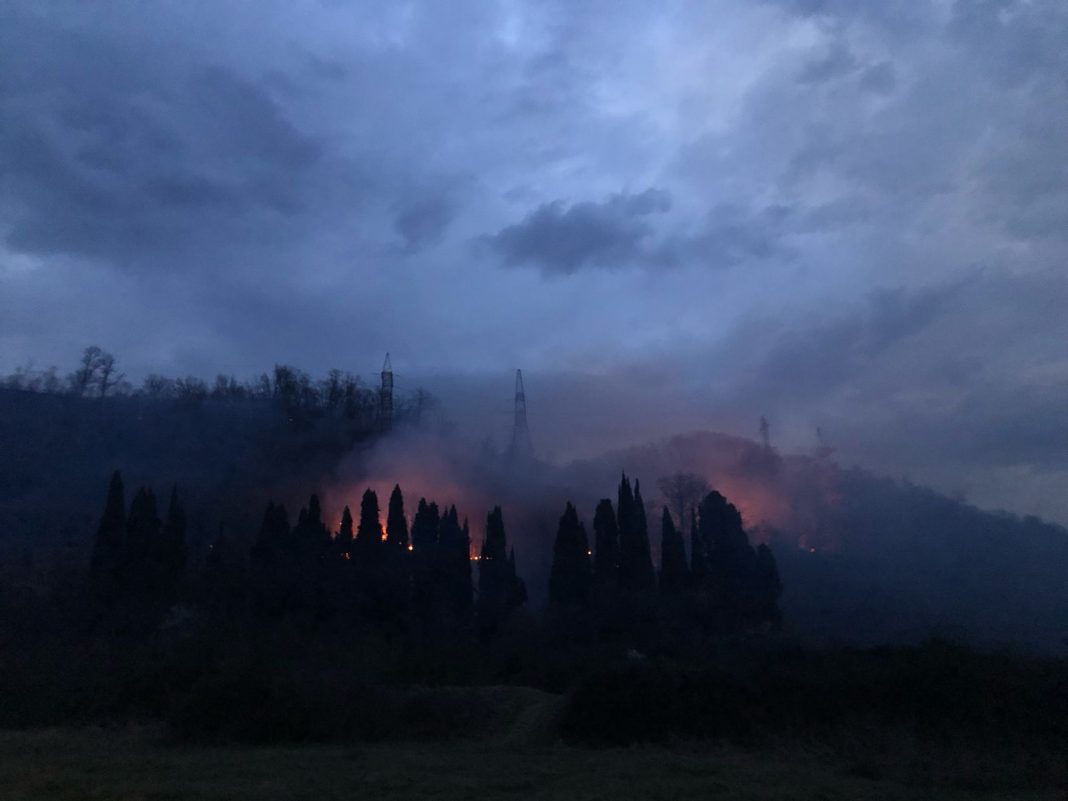 В Сочинском нацпарке зафиксировано шесть лесных пожаров с начала года