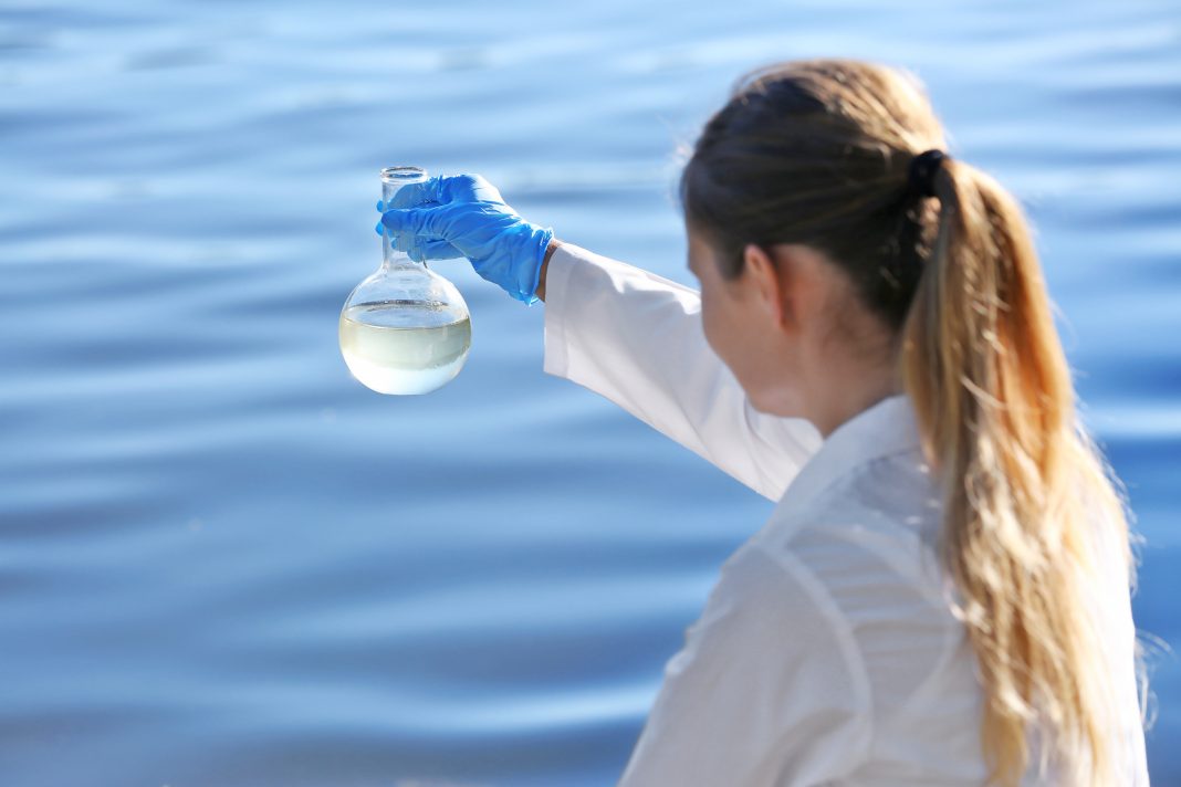 РАН провела первую экспедицию в Черном море после крушения нефтетанкеров