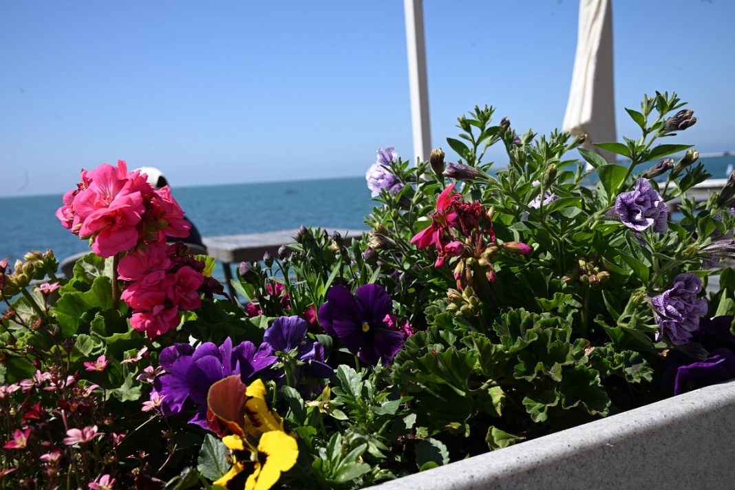 Новый сквер и не только: в Сочи продолжается благоустройство Лазаревского района