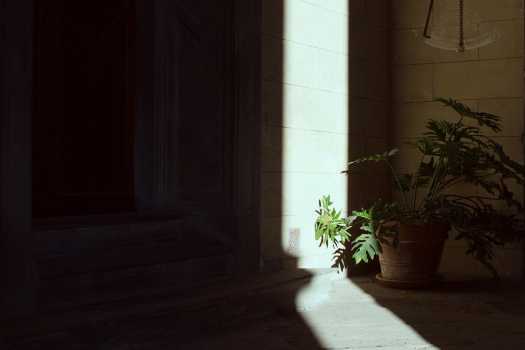 Сочинцев предупредили об отключении света 22 апреля: список адресов